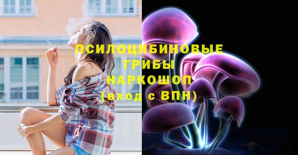 прущие грибы Каменка