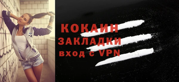 прущие грибы Каменногорск