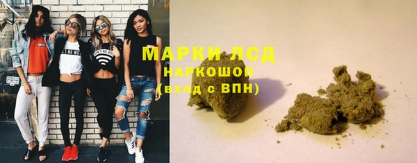 прущие грибы Каменногорск