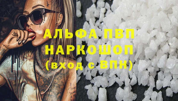 прущие грибы Каменногорск