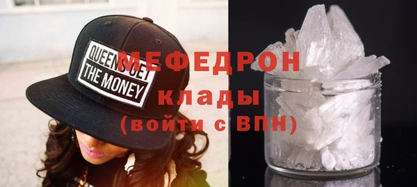 прущие грибы Каменногорск