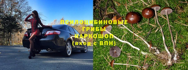 прущие грибы Каменка