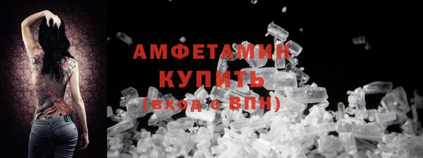 прущие грибы Каменногорск