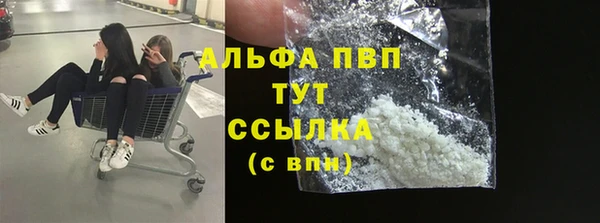 прущие грибы Каменка