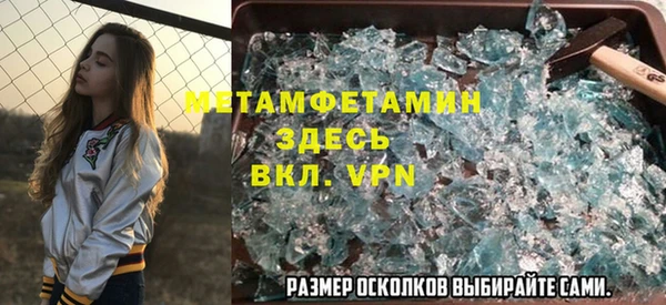 прущие грибы Каменногорск