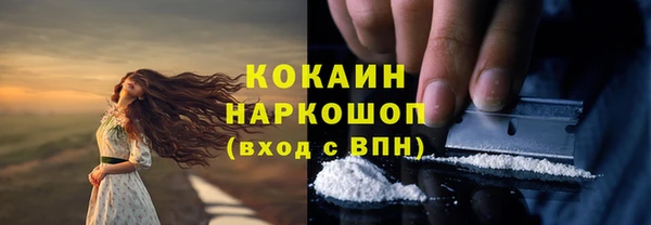 гидропоника Каменск-Шахтинский