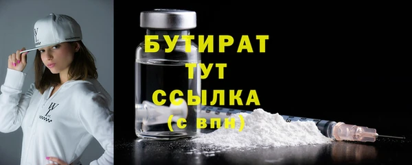 прущие грибы Каменногорск