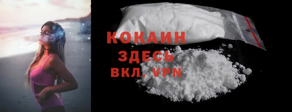 прущие грибы Каменногорск