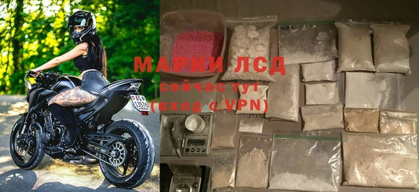 прущие грибы Каменка