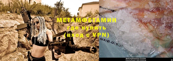прущие грибы Каменка