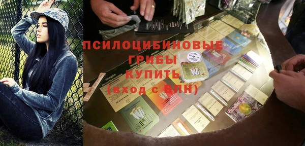 прущие грибы Каменка