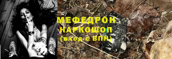 прущие грибы Каменногорск