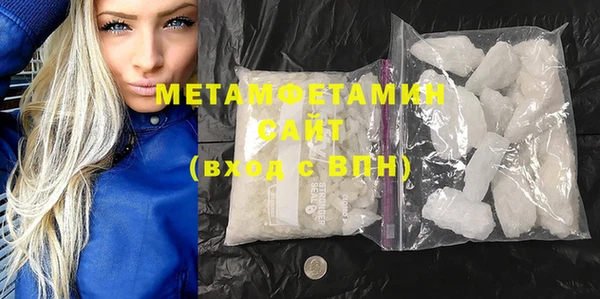 прущие грибы Каменка