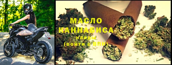 прущие грибы Каменногорск