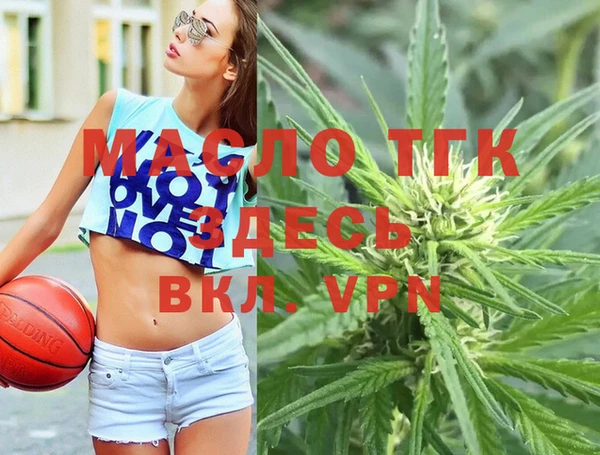 прущие грибы Каменногорск