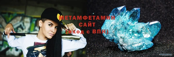 прущие грибы Каменногорск