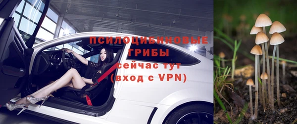 гидропоника Каменск-Шахтинский