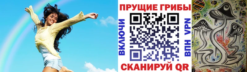 Псилоцибиновые грибы Psilocybine cubensis Гатчина