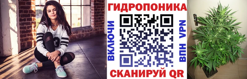 Купить  Гатчина  Каннабис Amnesia 